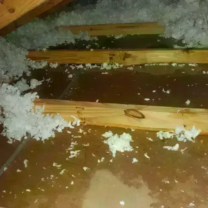 Attic Water Damage in East Village, NY