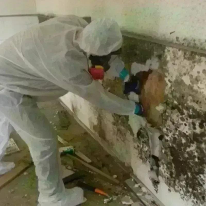 Mold Remediation and Removal in East Village, NY