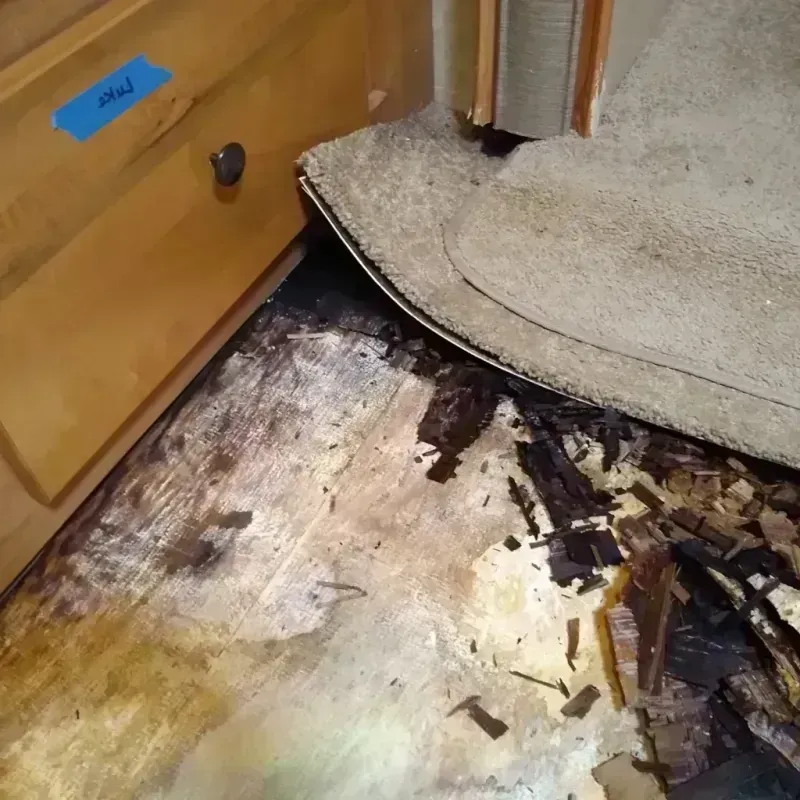 Wood Floor Water Damage in East Village, NY